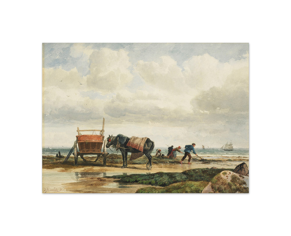 Gathering seaweed by Richard Beavis - Compact / Full Bleed / No Frame