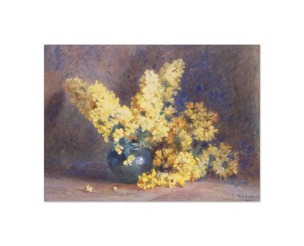 Yellow blossom and rosemary by Margaret Stoddart - Compact / Full Bleed / No Frame
