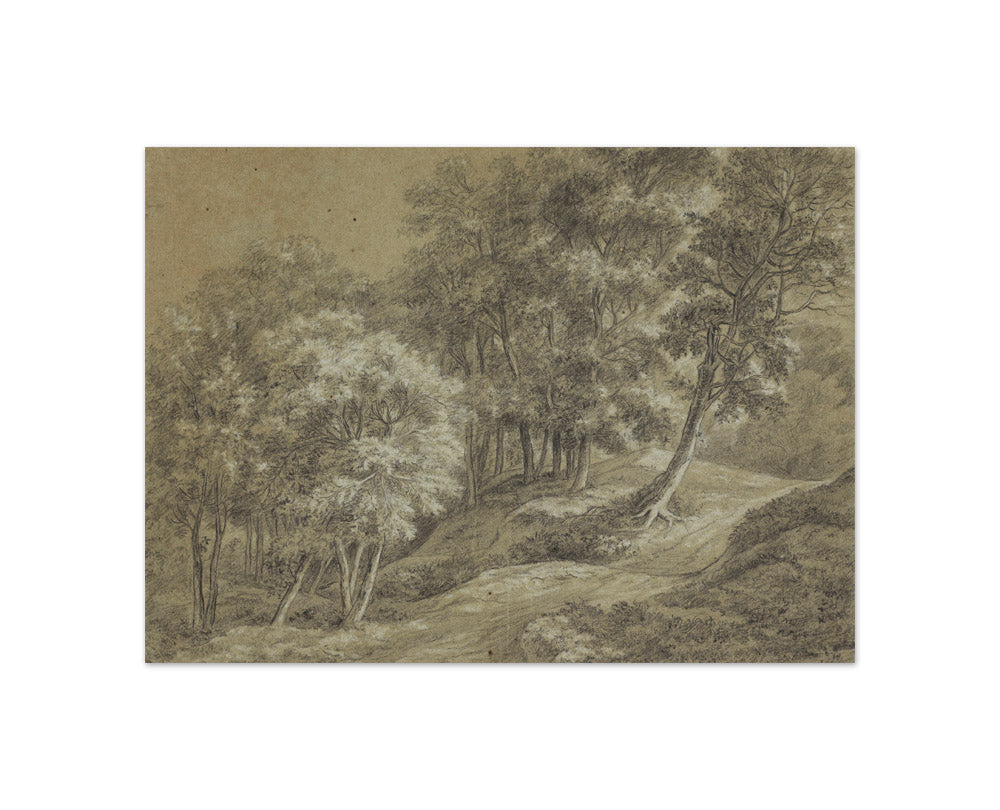A landscape with trees and a roadway by Anthonie Waterloo - Compact / Full Bleed / No Frame