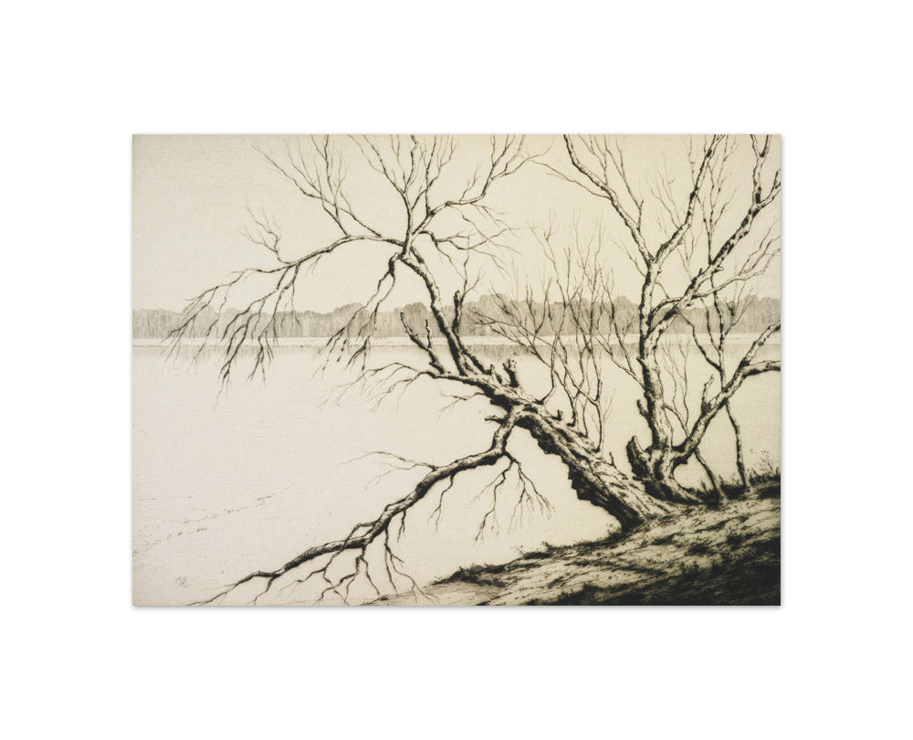 The lake by Martin Hardie - Compact / Full Bleed / No Frame