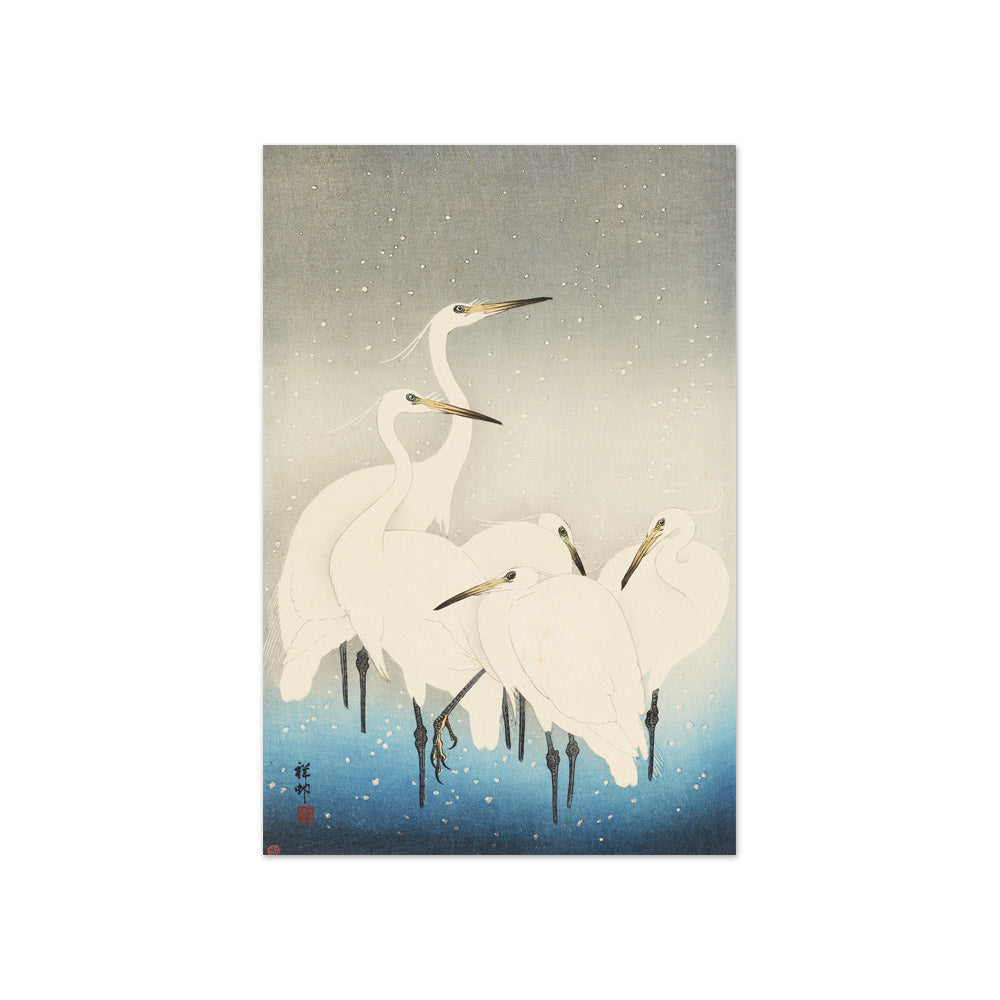 Five white egrets. by Ohara Koson - Compact / Full Bleed / No Frame