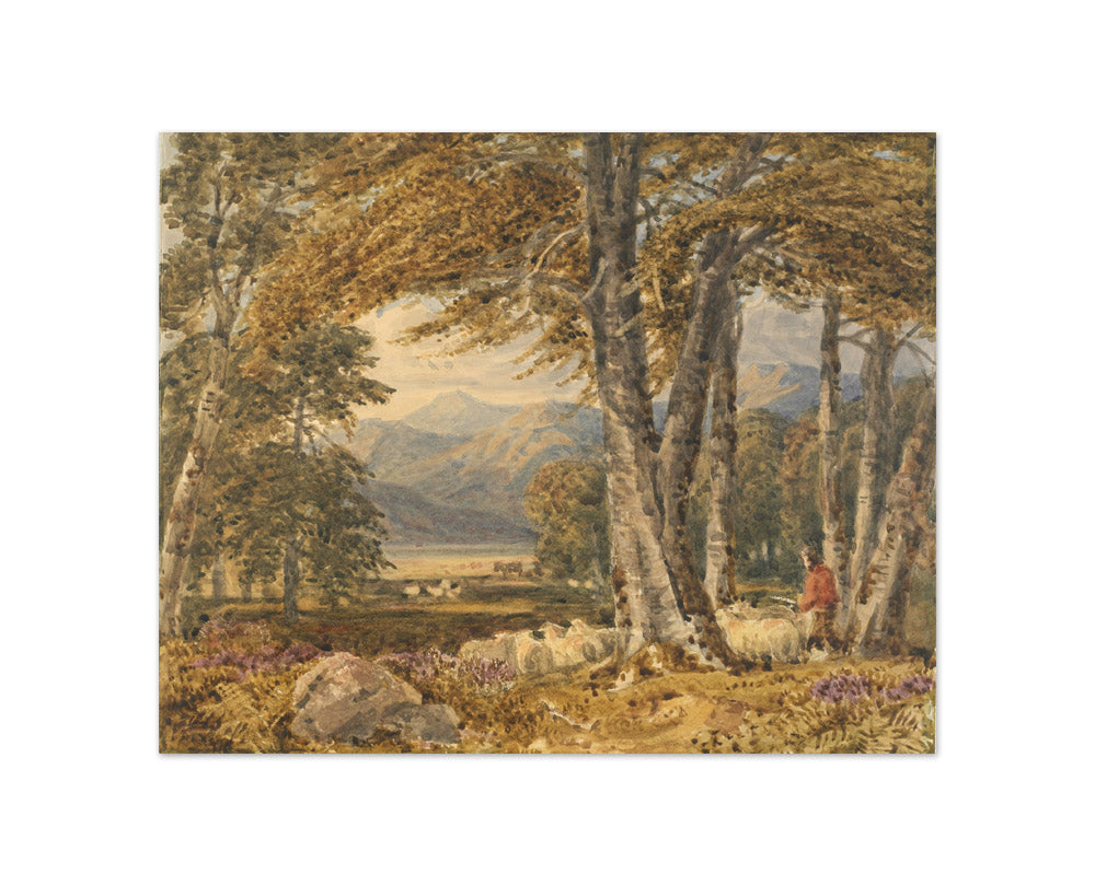 Landscape through trees by George Barret - Compact / Full Bleed / No Frame