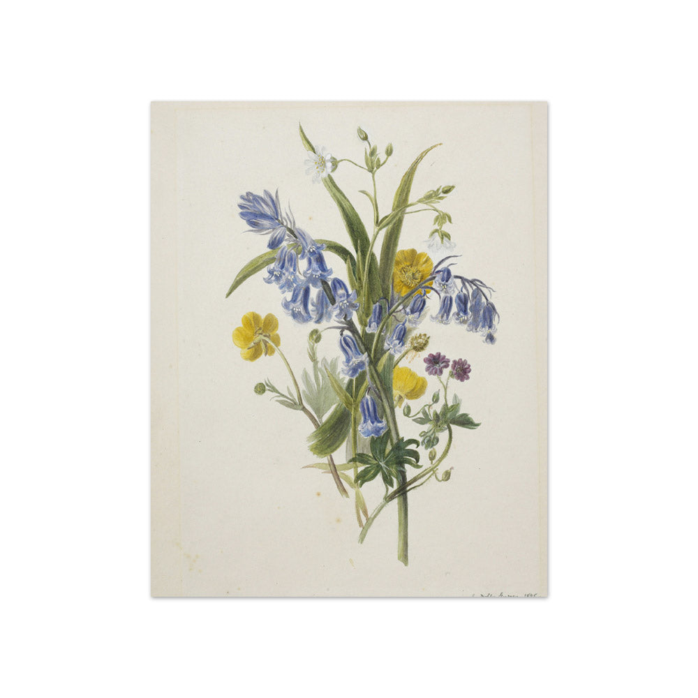 Bunch of wild flowers by Dolly Gurney - Compact / Full Bleed / No Frame