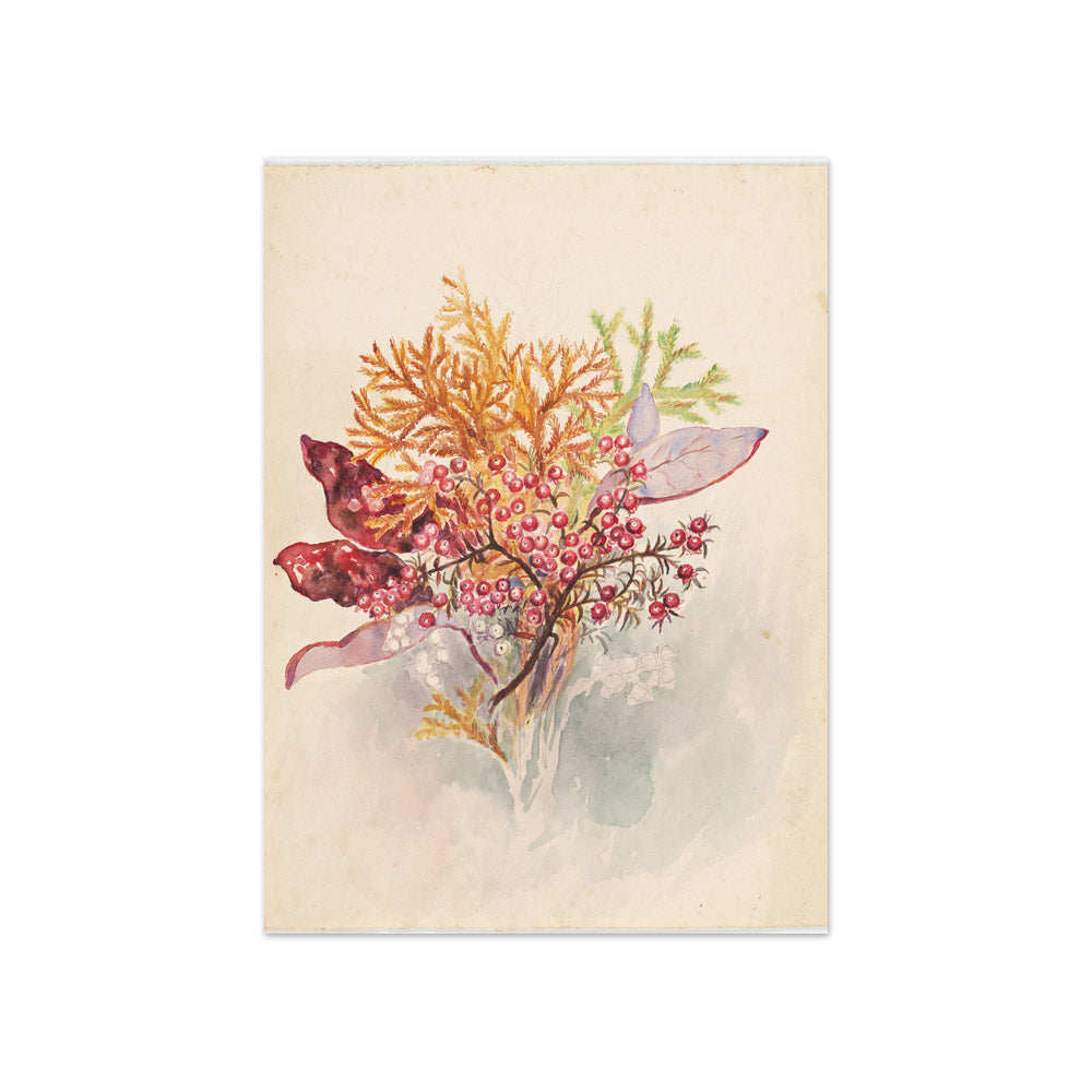 Red berries and leaves by Miss Fanny Richardson - Compact / Full Bleed / No Frame