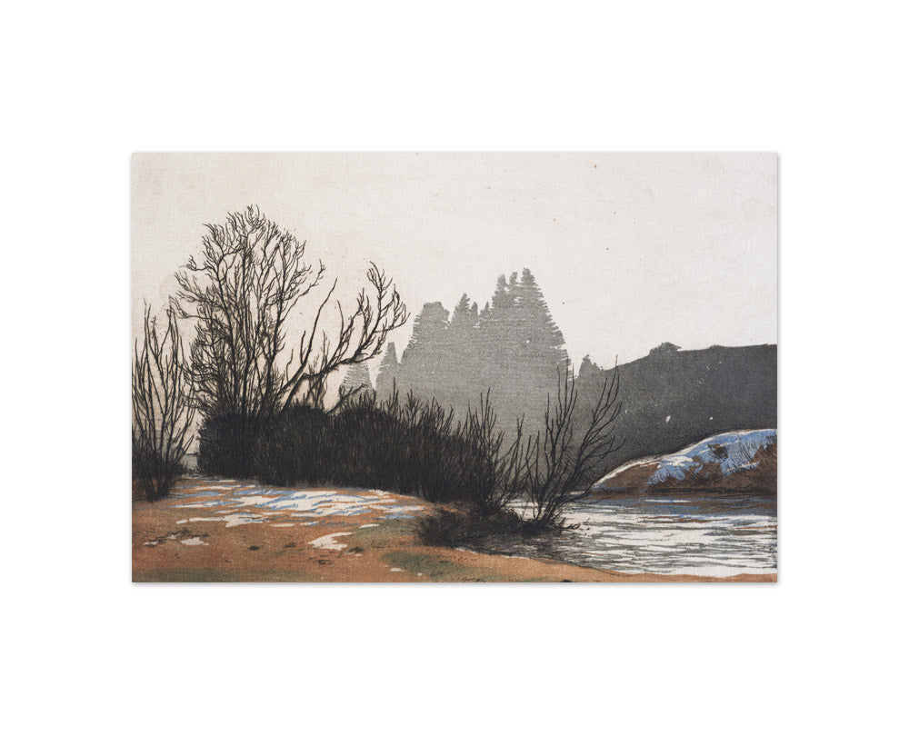 Willows and firs by Hans Frank - Compact / Full Bleed / No Frame