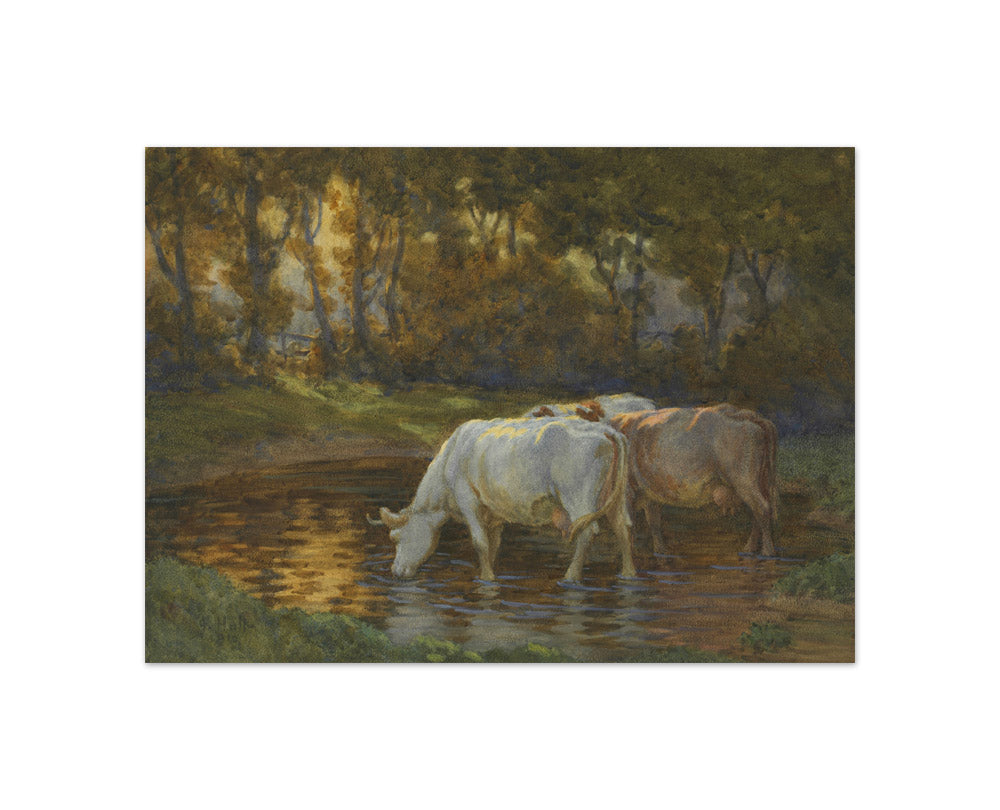 The pool by Jessie Hall - Compact / Full Bleed / No Frame