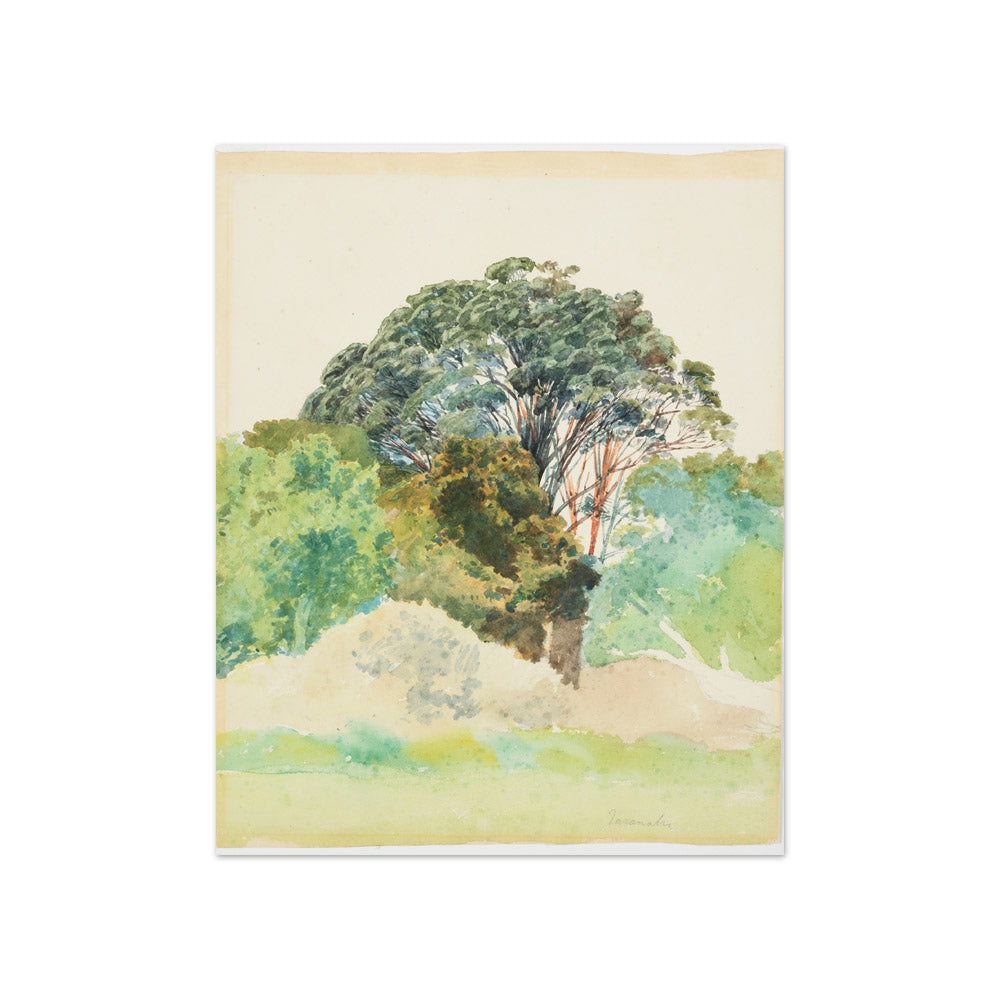 Rata, Taranaki by James Crowe Richmond - Compact / Full Bleed / No Frame