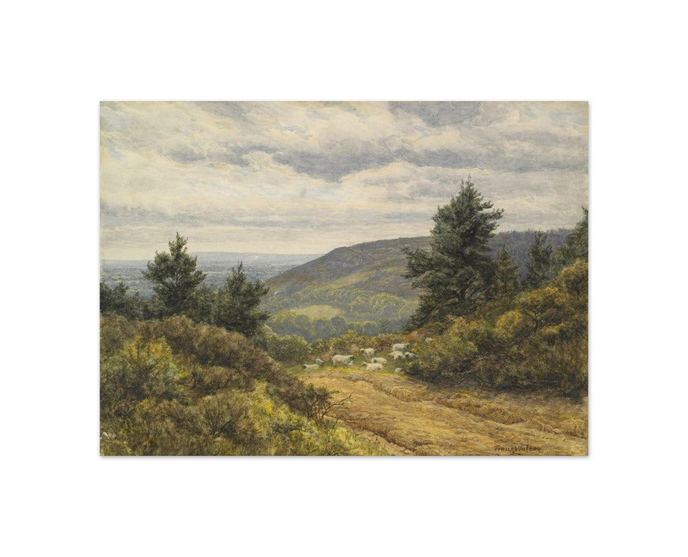 Ewhurst Hill, Surrey by Frank Walton - Compact / Full Bleed / No Frame