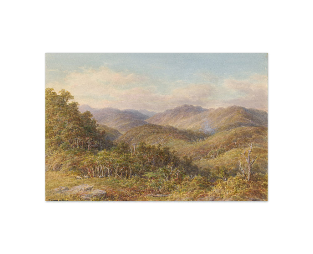 Bush scene Marlborough by William Baker - Compact / Full Bleed / No Frame