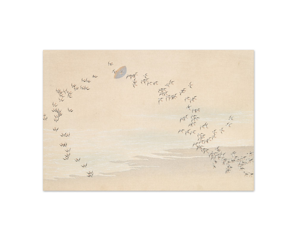 Kamisaka Sekka - A Thousand Grasses - Compact / Full Bleed / No Frame