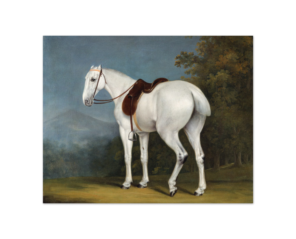 Jacques–Laurent Agasse - A Lady's Grey Hunter - Compact / Full Bleed / No Frame
