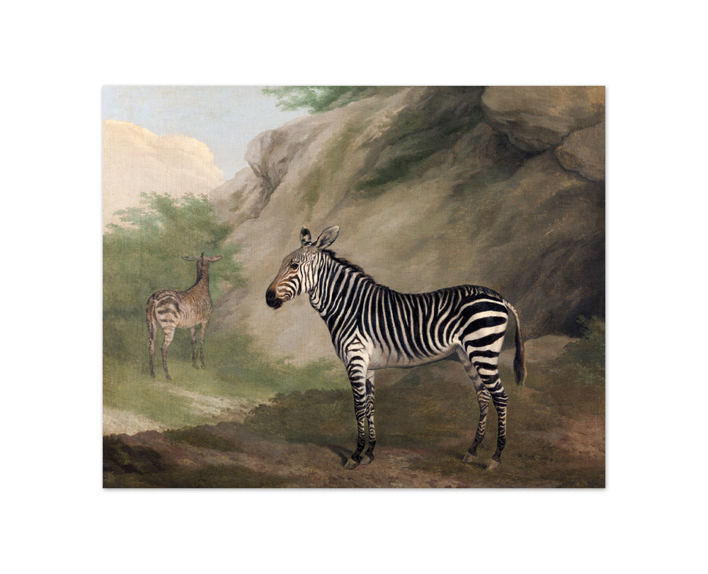 Jacques–Laurent Agasse - Zebra - Compact / Full Bleed / No Frame