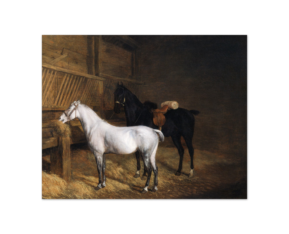 Jacques–Laurent Agasse - A Grey Pony and a Black Charger in a Stable - Compact / Full Bleed / No Frame