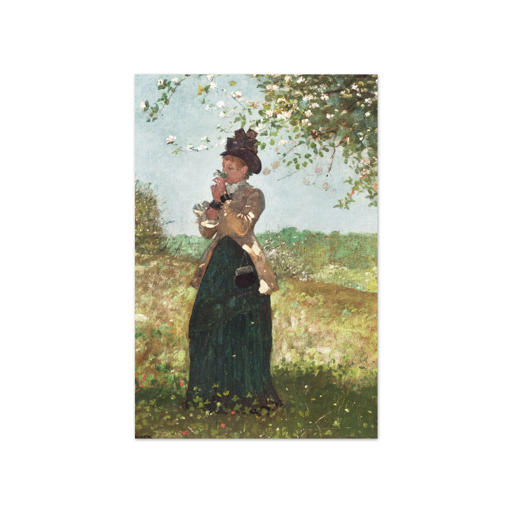 Winslow Homer - The Yellow Jacket - Compact / Full Bleed / No Frame
