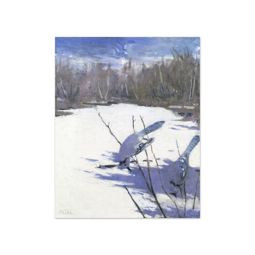Abbott Handerson Thayer - Blue Jays in Winter - Compact / Full Bleed / No Frame