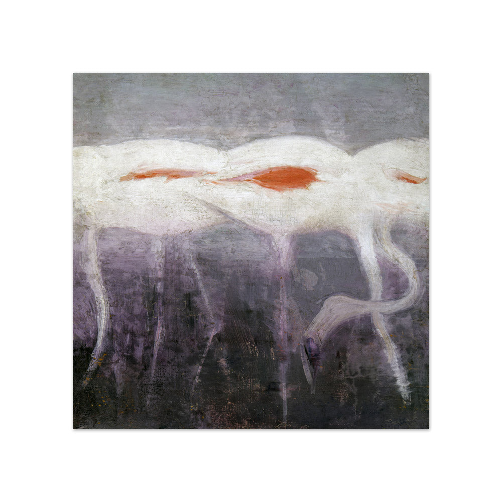 Abbott Handerson Thayer - White Flamingoes - Compact / Full Bleed / No Frame