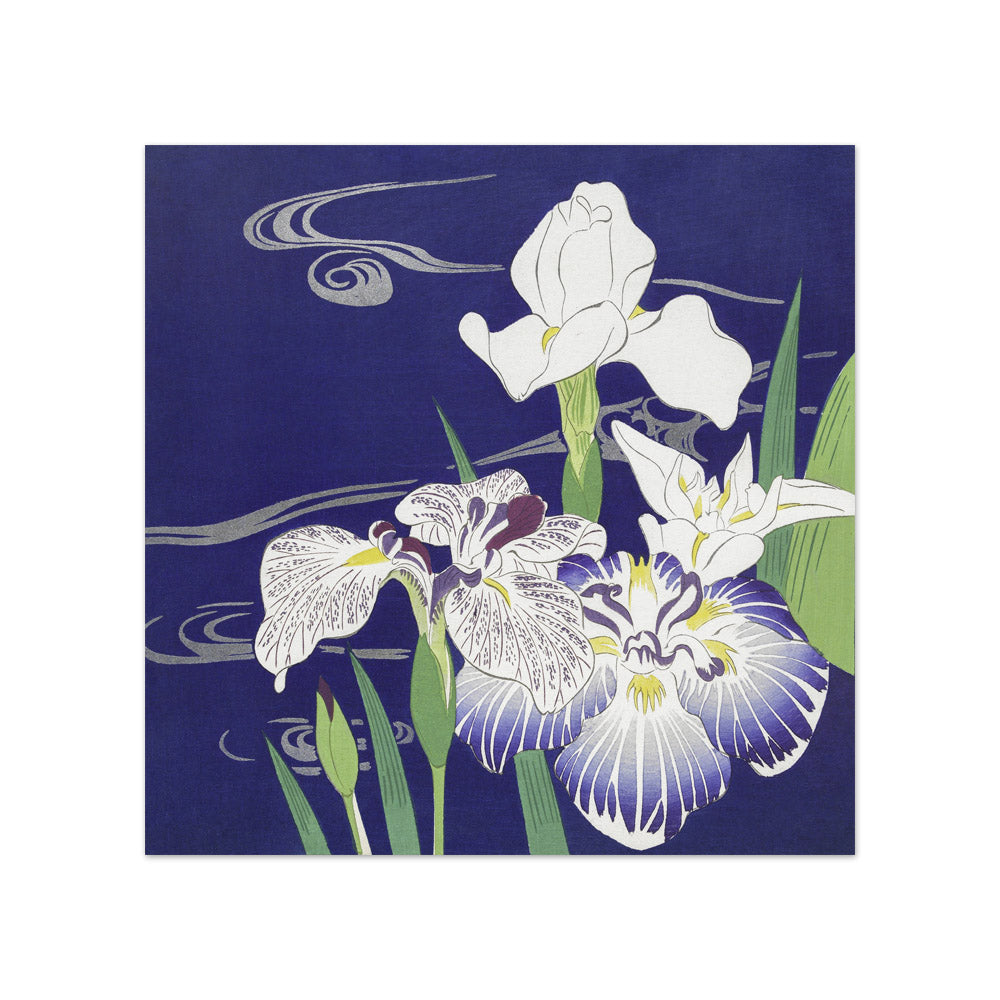 Kogyo Tsukioka - Irises - Compact / Full Bleed / No Frame