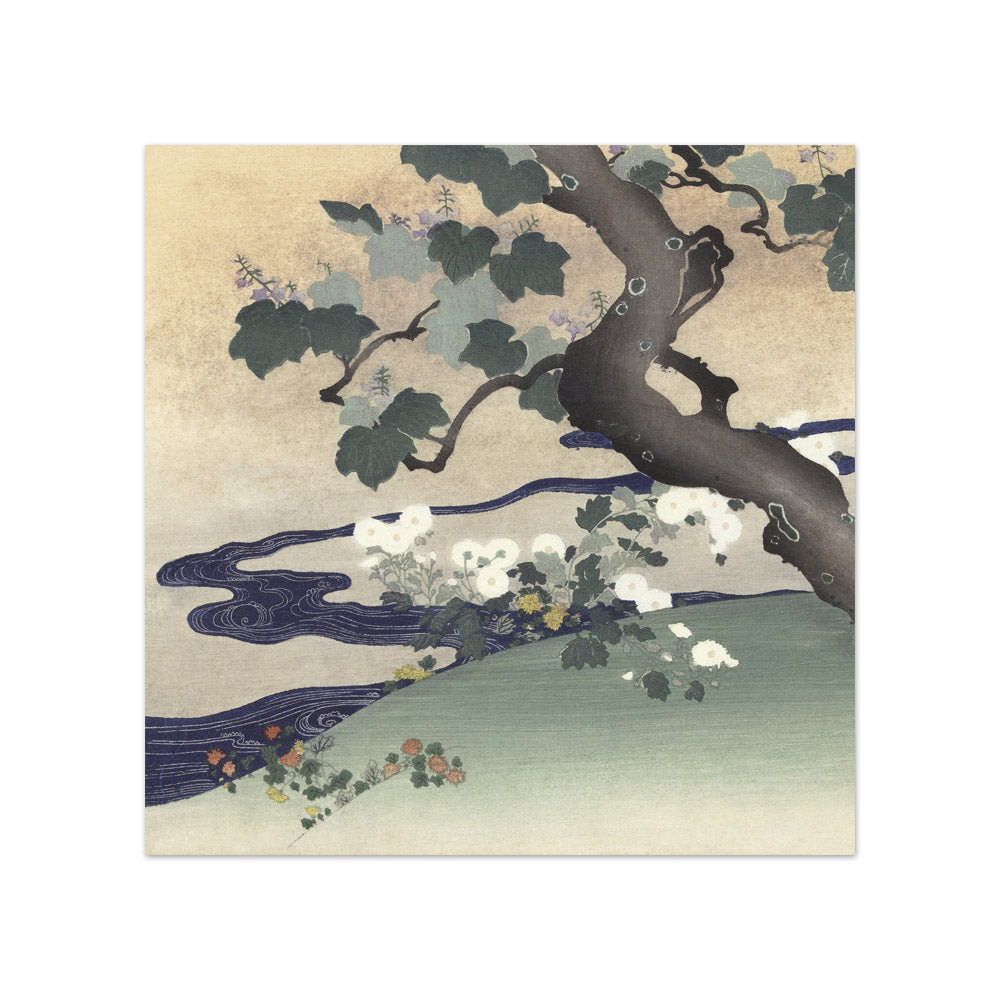 Kogyo Tsukioka - Tree and chrysanthemums - Compact / Full Bleed / No Frame