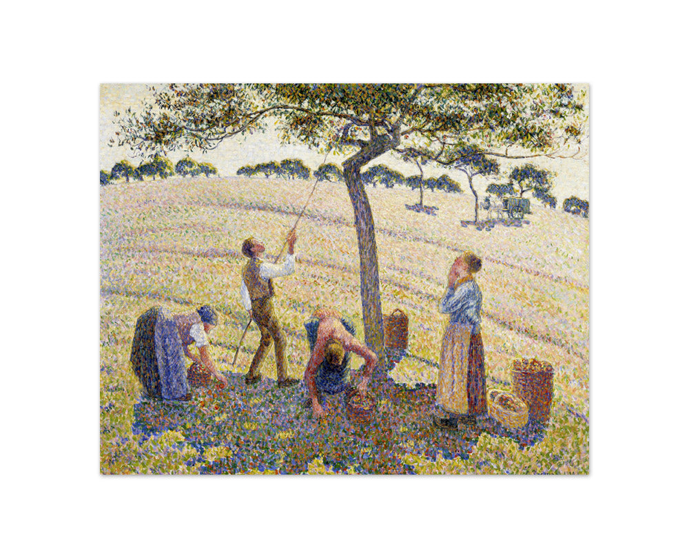 Camille Pissarro - Apple Harvest - Compact / Full Bleed / No Frame