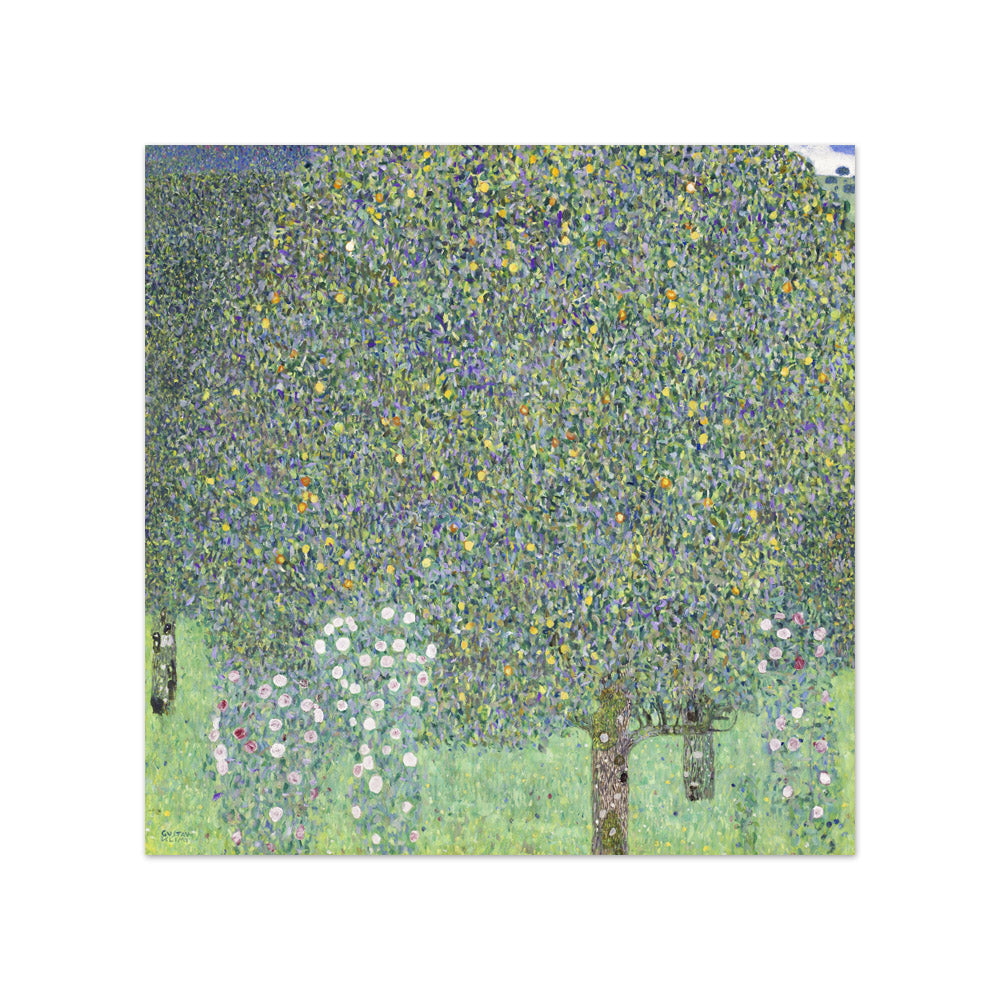 Gustav Klimt - Rosebushes under the Trees - Compact / Full Bleed / No Frame