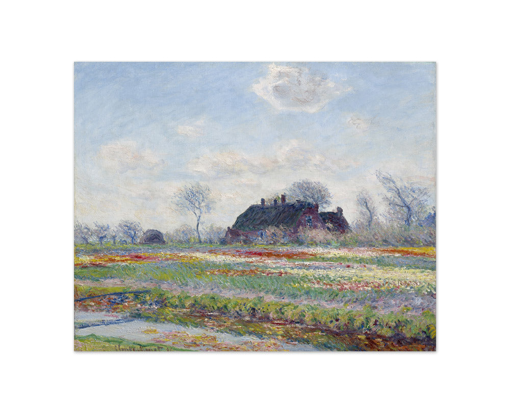 Claude Monet - Tulip Fields at Sassenheim - Compact / Full Bleed / No Frame