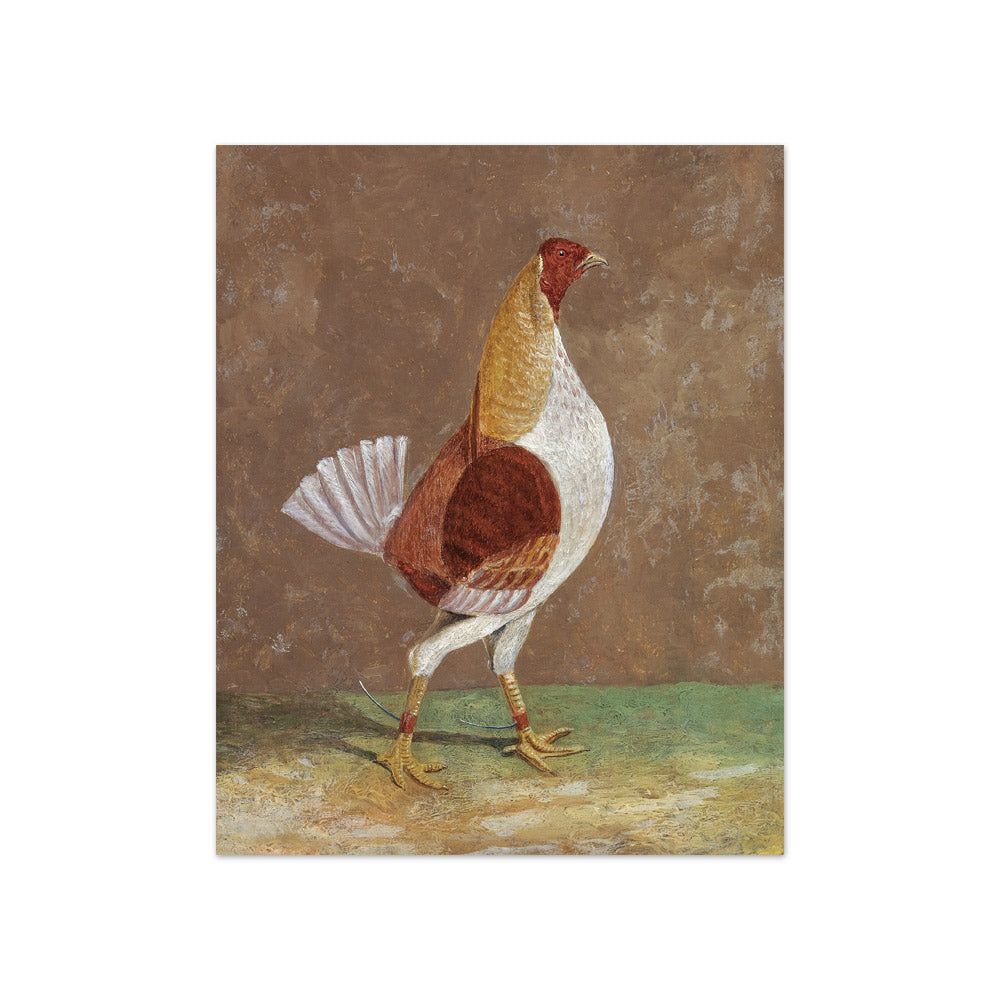 John Frederick Herring - Fighting Cocks: a Pale-Breasted Fighting Cock, Facing Rght - Compact / Full Bleed / No Frame