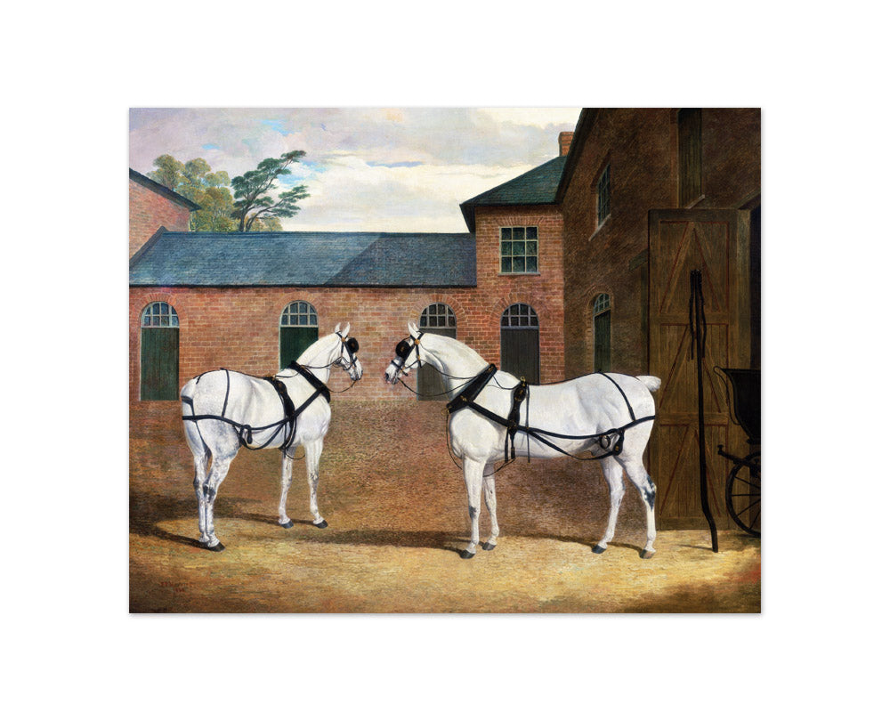 John Frederick Herring - Grey carriage horses in the coachyard at Putteridge Bury, Hertfordshire - Compact / Full Bleed / No Frame