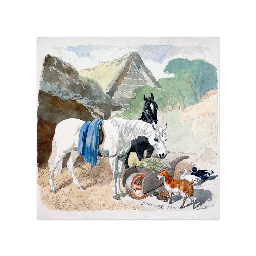 John Frederick Herring - Two Horses Eating From a Wheel-Barrow Watched - Compact / Full Bleed / No Frame