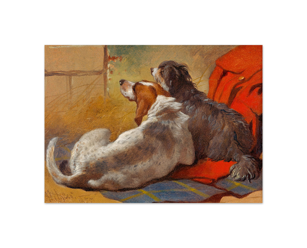 John Frederick Herring - A Hound and a Bearded Collie seated on a Hunting Coat - Compact / Full Bleed / No Frame