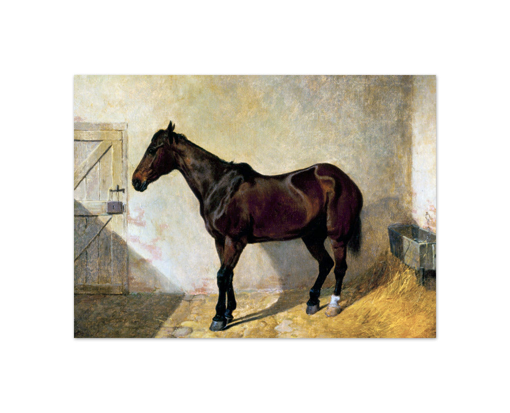John Frederick Herring - Horse - Compact / Full Bleed / No Frame
