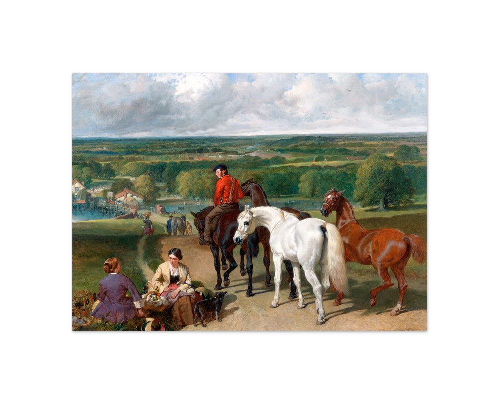 John Frederick Herring - Exercising the Royal Horses - Compact / Full Bleed / No Frame