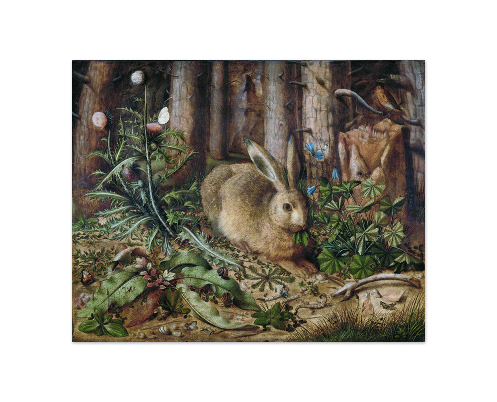 Hans Hoffmann - A Hare in the Forest - Compact / Full Bleed / No Frame