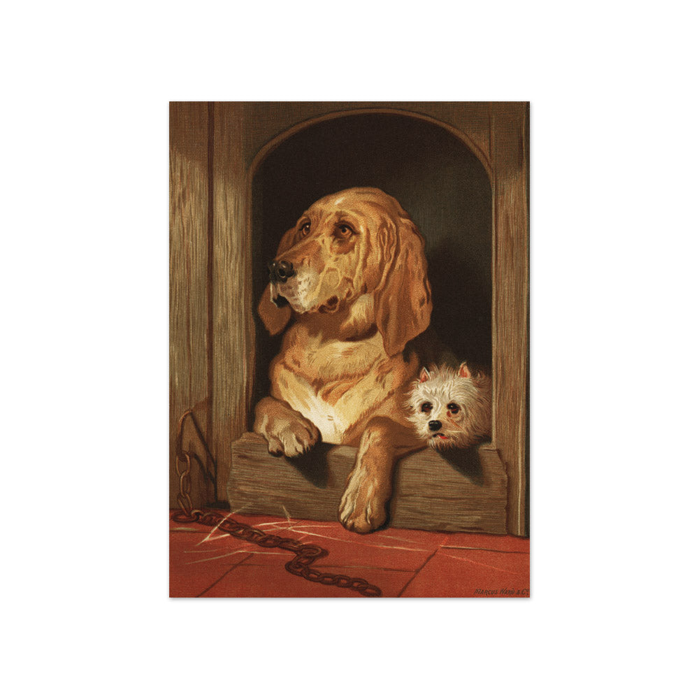 Sir Edwin Henry Landseer - Dignity and Impudence - Compact / Full Bleed / No Frame