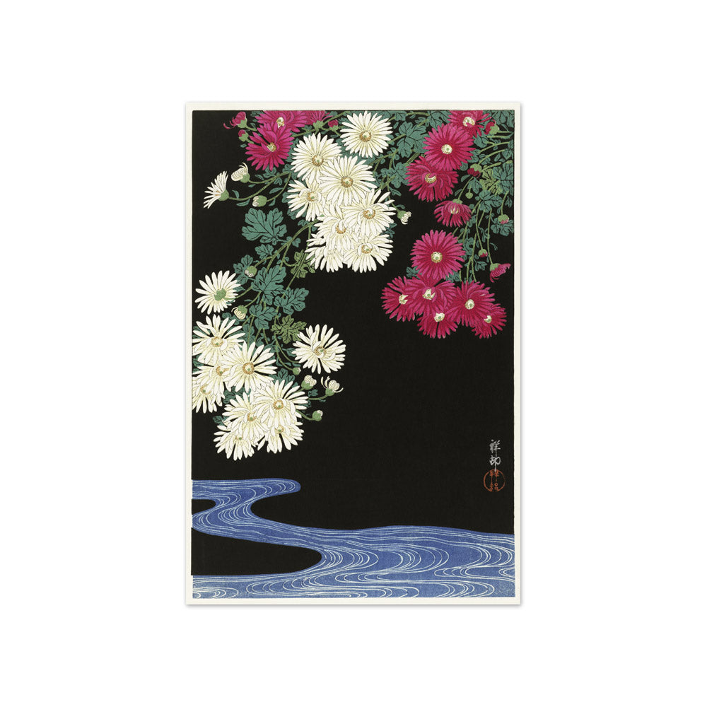 Ohara Koson - Chrysanthemums - Compact / Full Bleed / No Frame