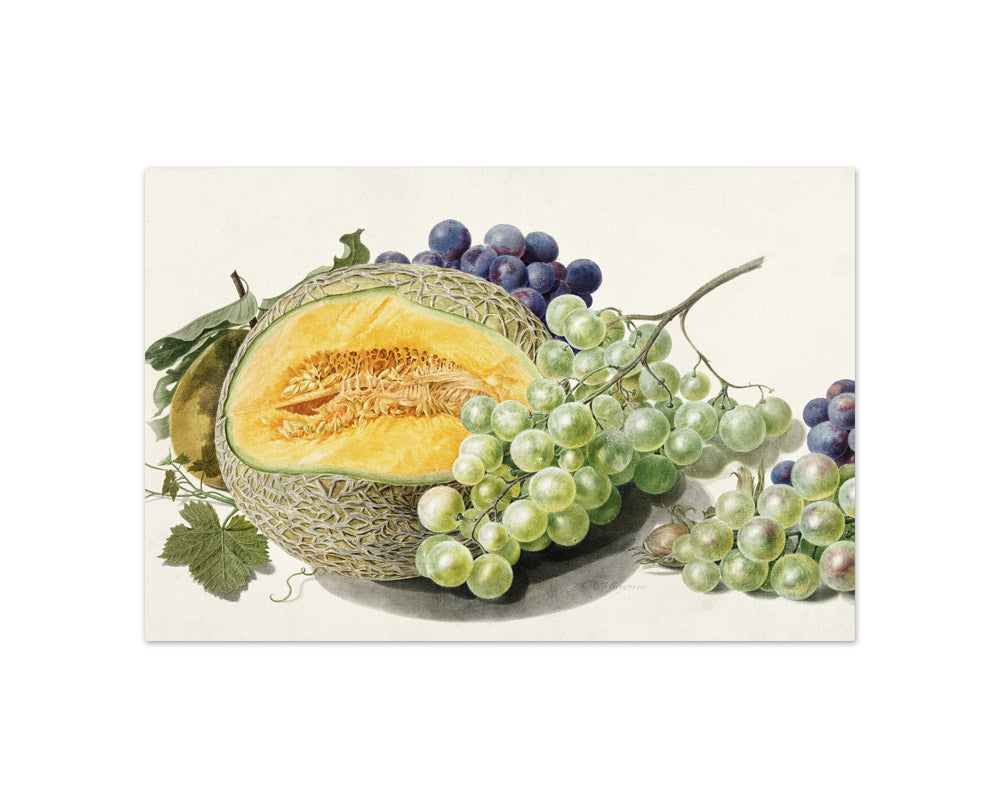 Michiel van Huysum - Fruits - Compact / Full Bleed / No Frame