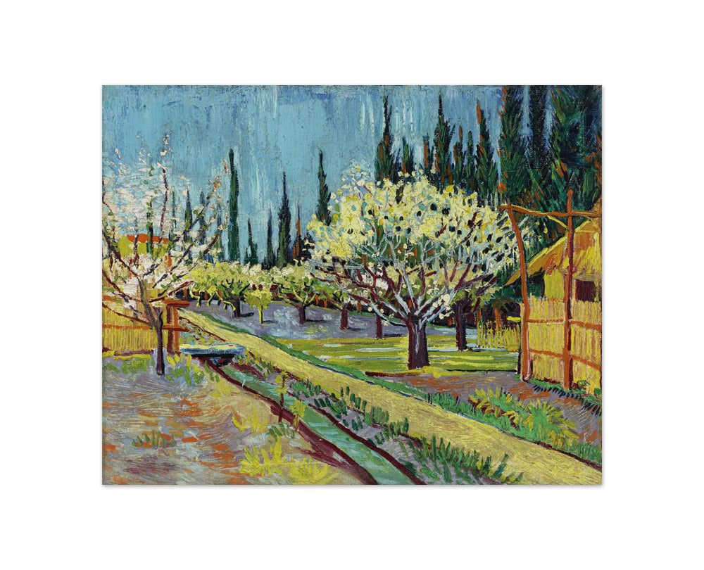 Vincent Van Gogh - Orchard Bordered - Compact / Full Bleed / No Frame