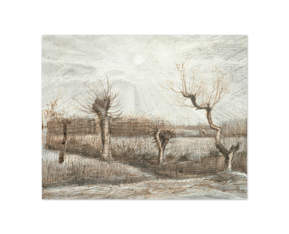 Vincent Van Gogh - Tetards (Pollards) - Compact / Full Bleed / No Frame