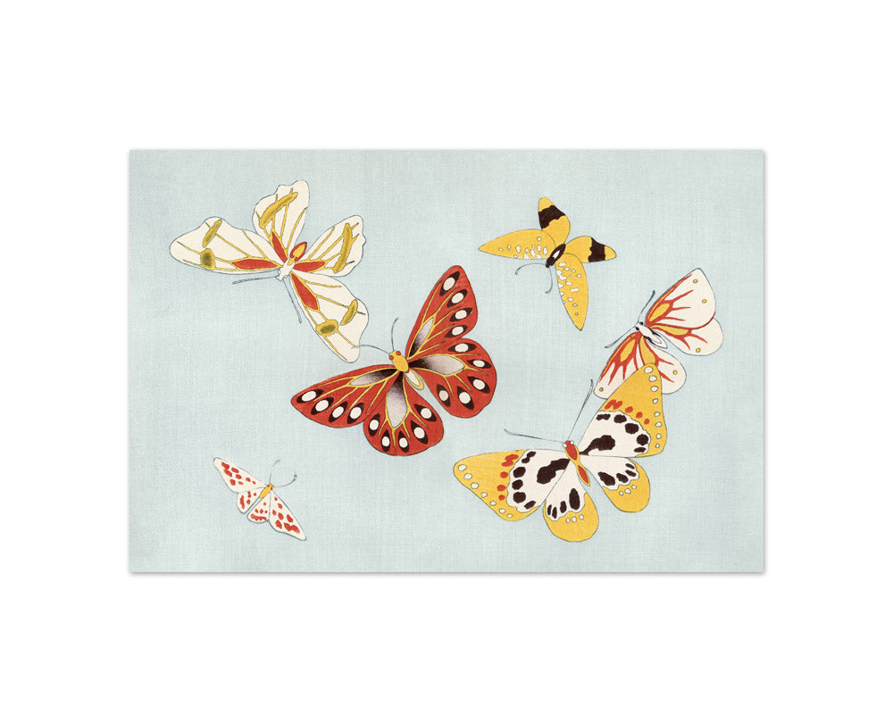Kamisaka Sekka - Japanese butterfly - Compact / Full Bleed / No Frame