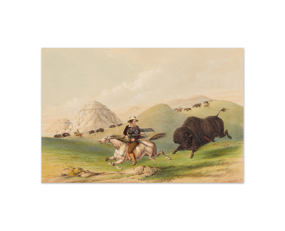 George Catlin - Buffalo Hunt, Chasing back - Compact / Full Bleed / No Frame