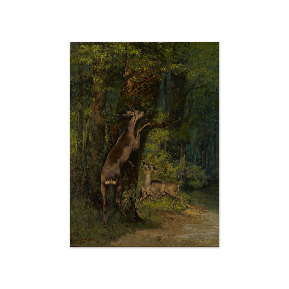 Gustave Courbet - Deer in the Forest - Compact / Full Bleed / No Frame