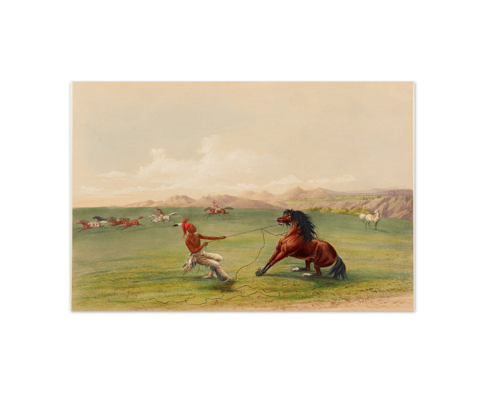 George Catlin - Catching the Wild Horse - Compact / Full Bleed / No Frame