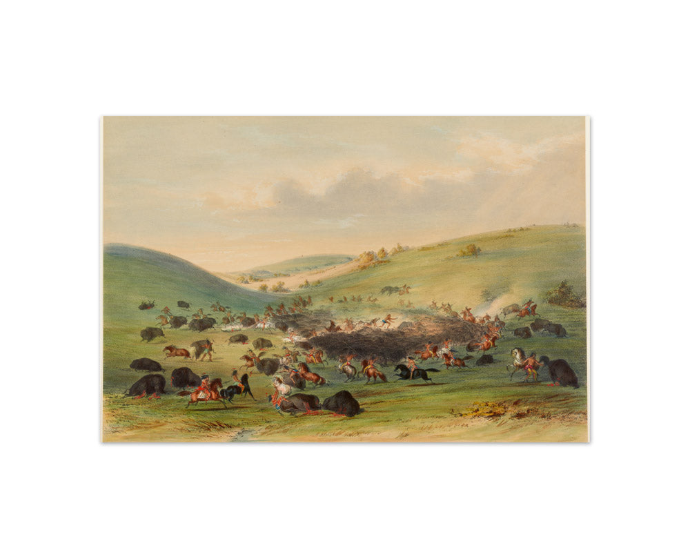 George Catlin - Buffalo Hunt, Surround - Compact / Full Bleed / No Frame