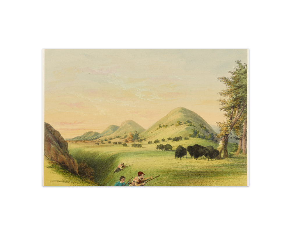 George Catlin - Buffalo Hunt, Approaching in a Ravine - Compact / Full Bleed / No Frame