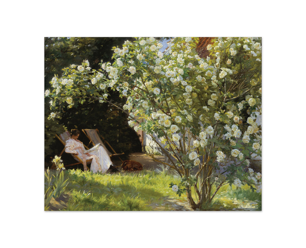P.S. Krøyer - Roses. Marie Krøyer seated in the deckchair in the garden - Compact / Full Bleed / No Frame