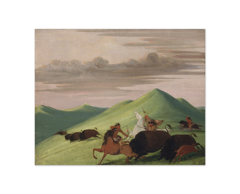 George Catlin - Buffalo Chase, Bull Protecting a Cow and Calf - Compact / Full Bleed / No Frame