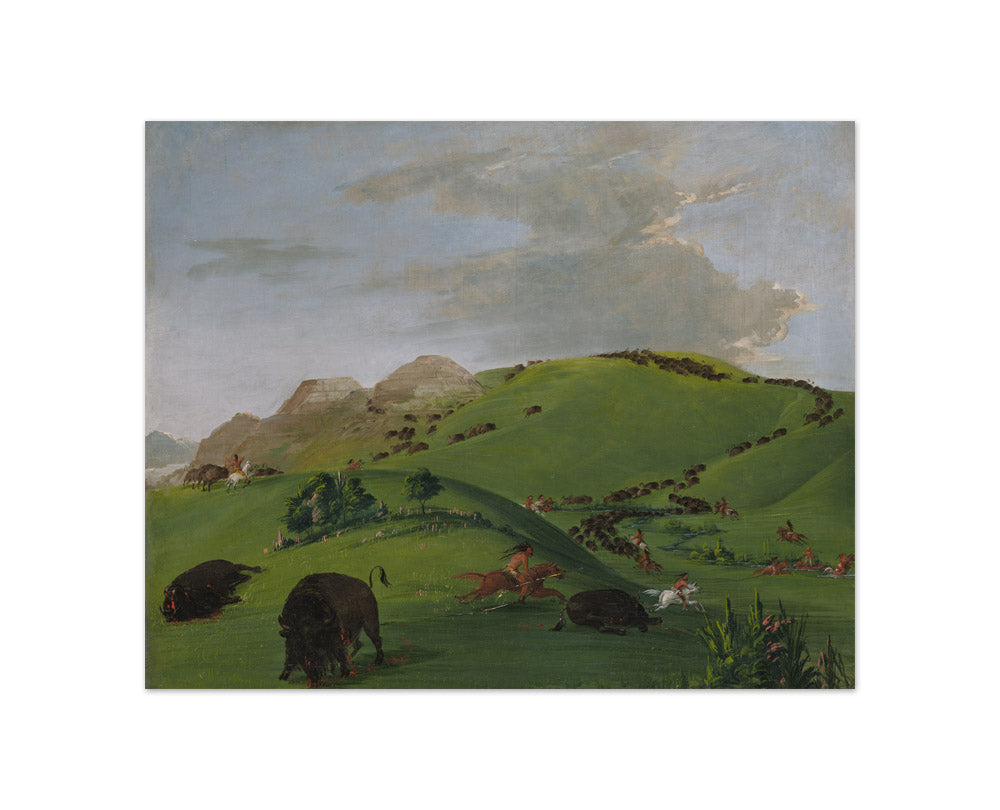 George Catlin - Buffalo Chase, Mouth of the Yellowstone - Compact / Full Bleed / No Frame