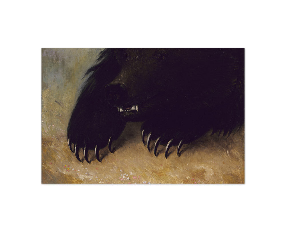 George Catlin - Weapons and Physiognomy of the Grizzly Bear - Compact / Full Bleed / No Frame