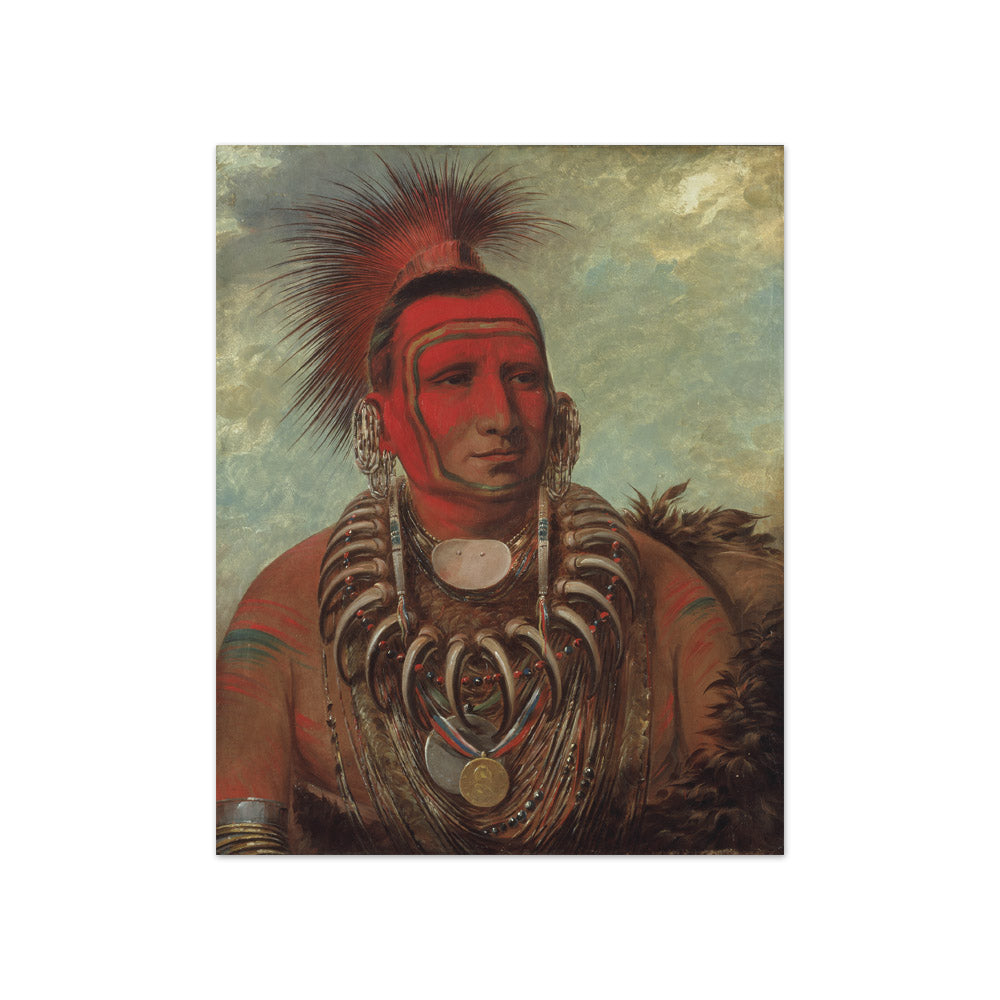George Catlin - Shon-ta-yi-ga, Little Wolf, a Famous Warrior - Compact / Full Bleed / No Frame