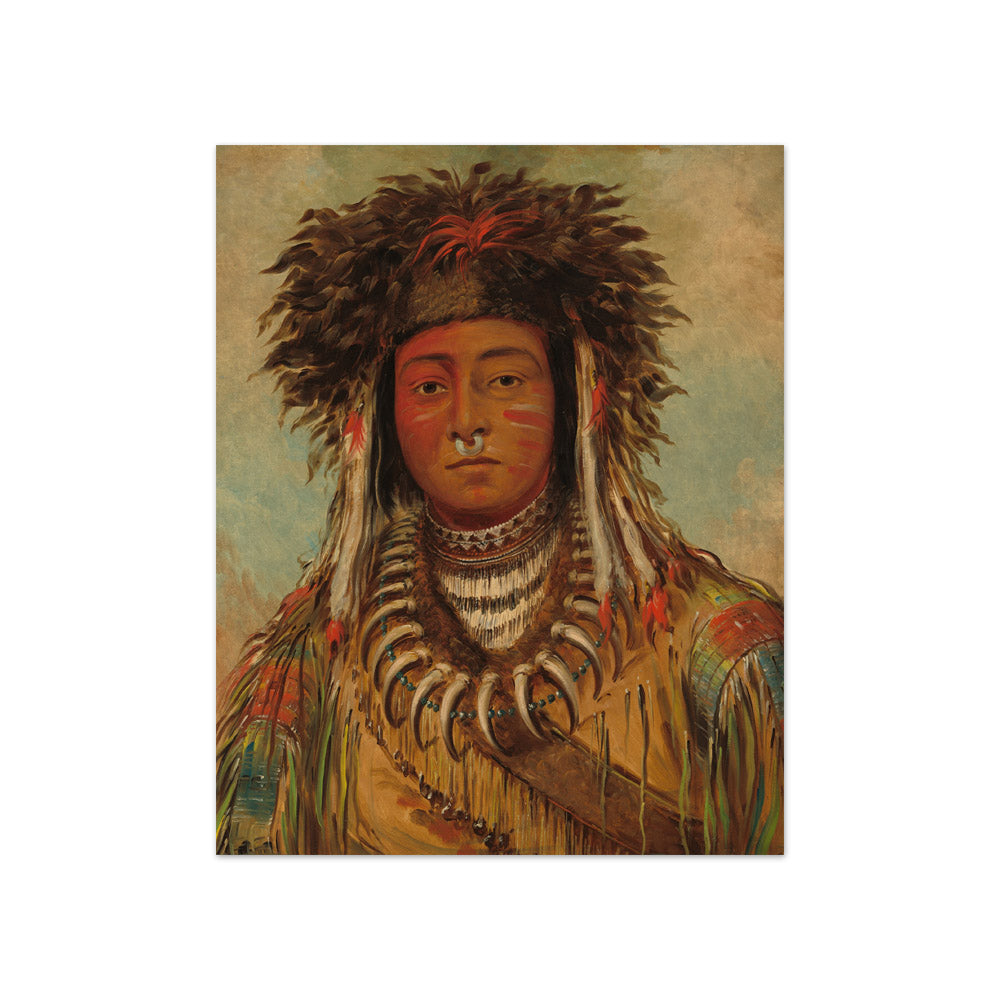 George Catlin - Boy Chief - Ojibbeway - Compact / Full Bleed / No Frame