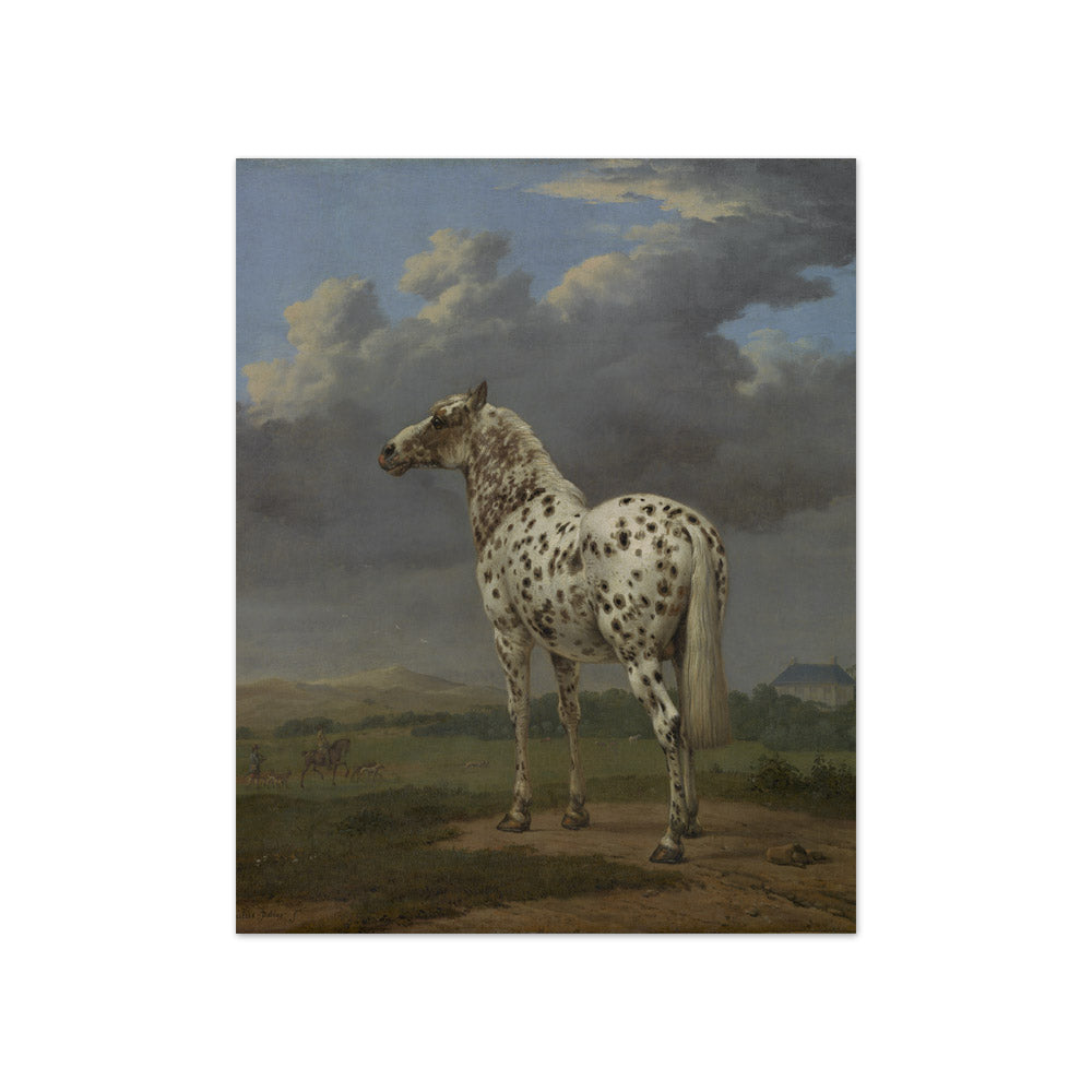 Paulus Potter - The Piebald Horse - Compact / Full Bleed / No Frame
